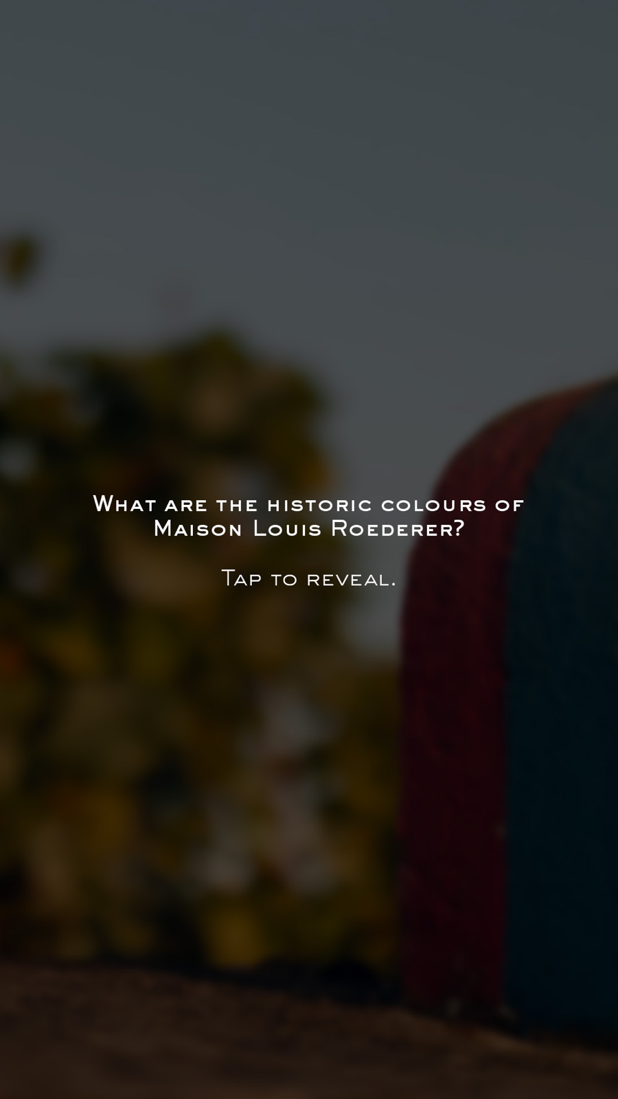 Louis Roederer 250 years celebration — 1