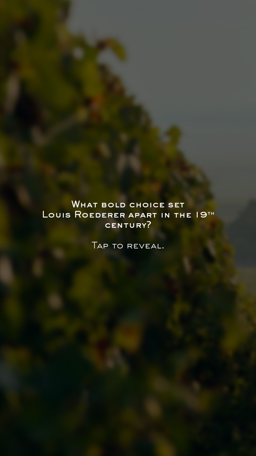 Louis Roederer 250 years celebration — 3