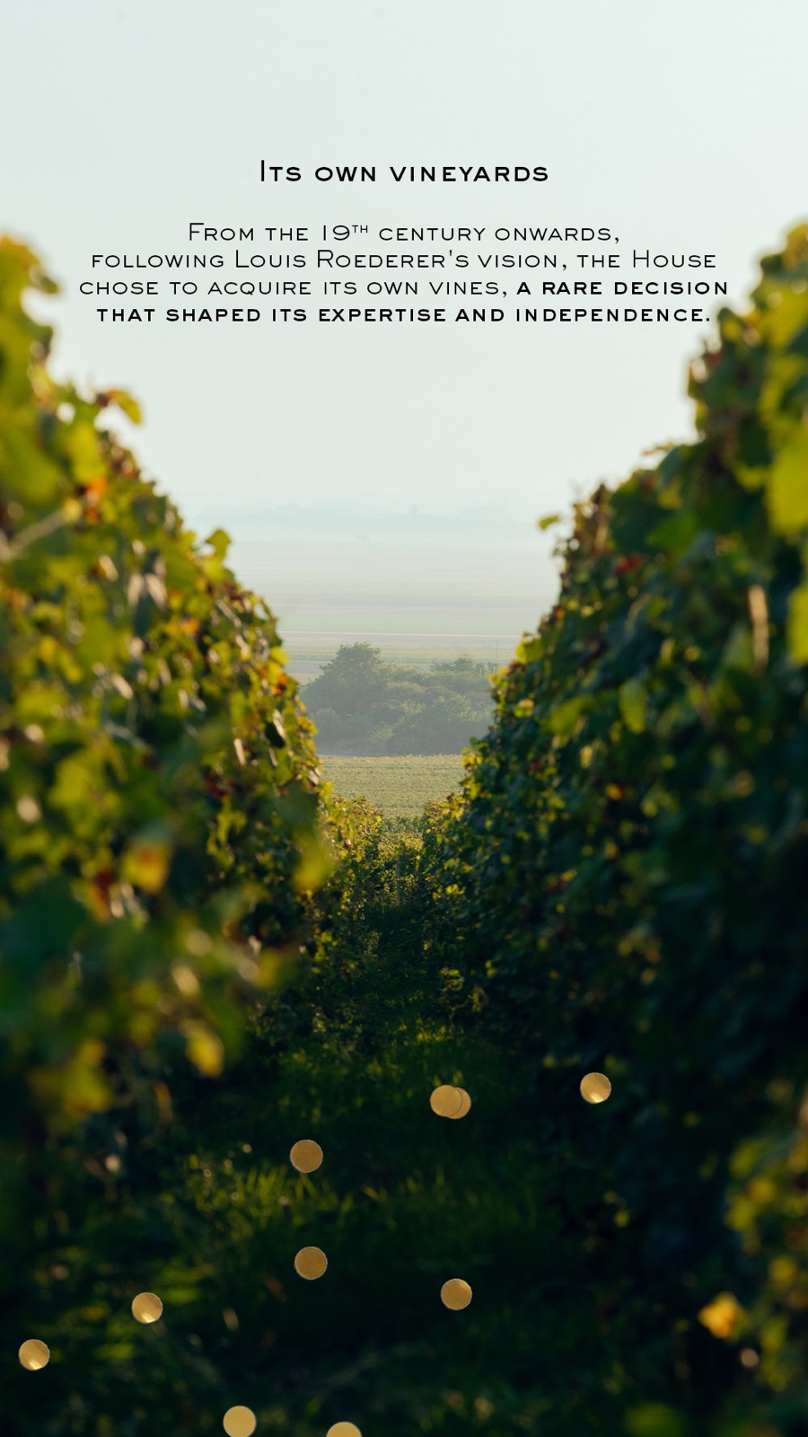 Louis Roederer 250 years celebration — 4