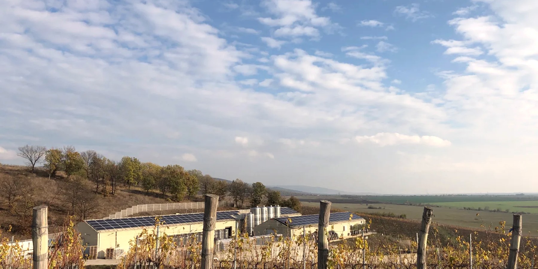 Винарско имение Санта Сара